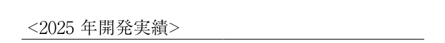 2025 年開発実績